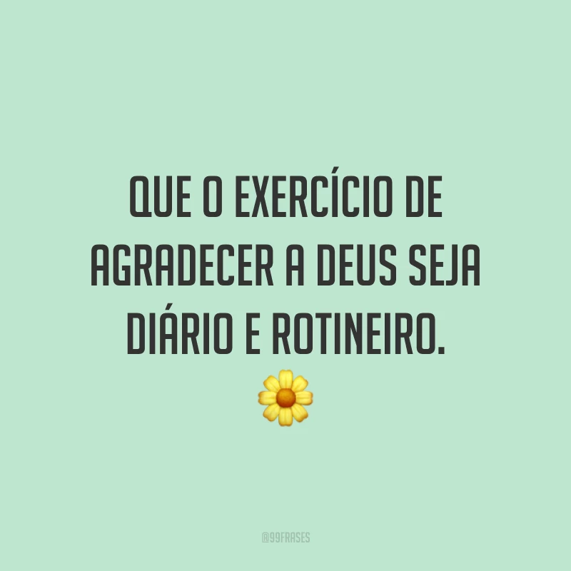 Que o exercício de agradecer a Deus seja diário e rotineiro. 🌼