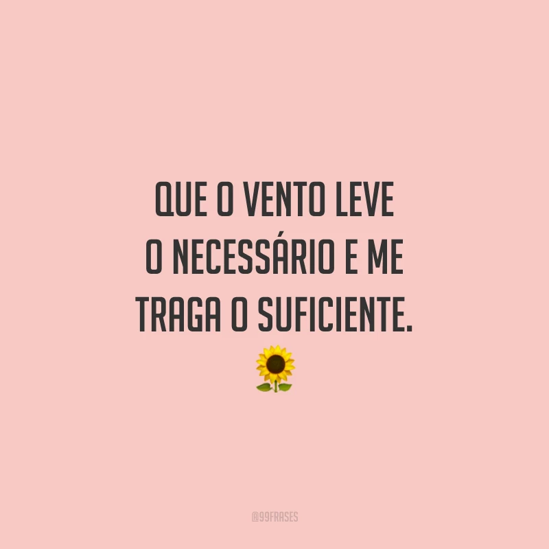 Que o vento leve o necessário e me traga o suficiente.