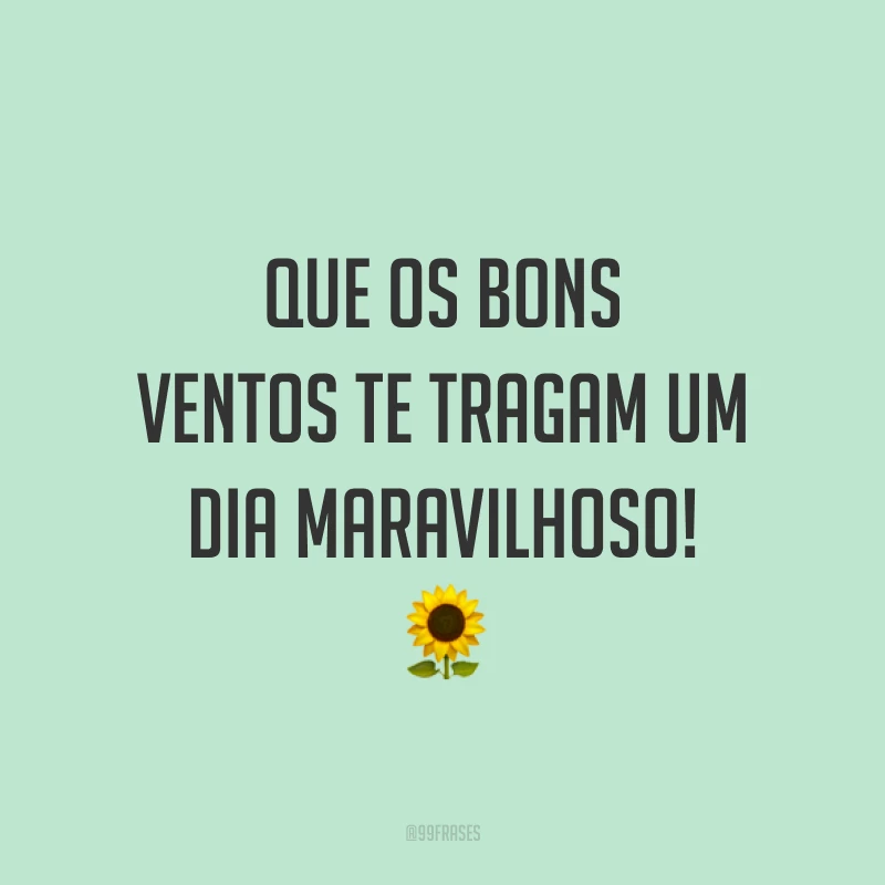 Que os bons ventos te tragam um dia maravilhoso! 🌻