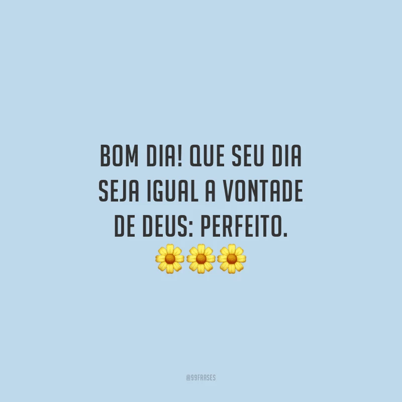 Bom dia! Que seu dia seja igual a vontade de Deus: perfeito.