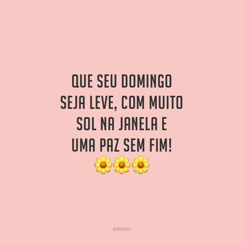 Que seu domingo seja leve, com muito sol na janela e uma paz sem fim!