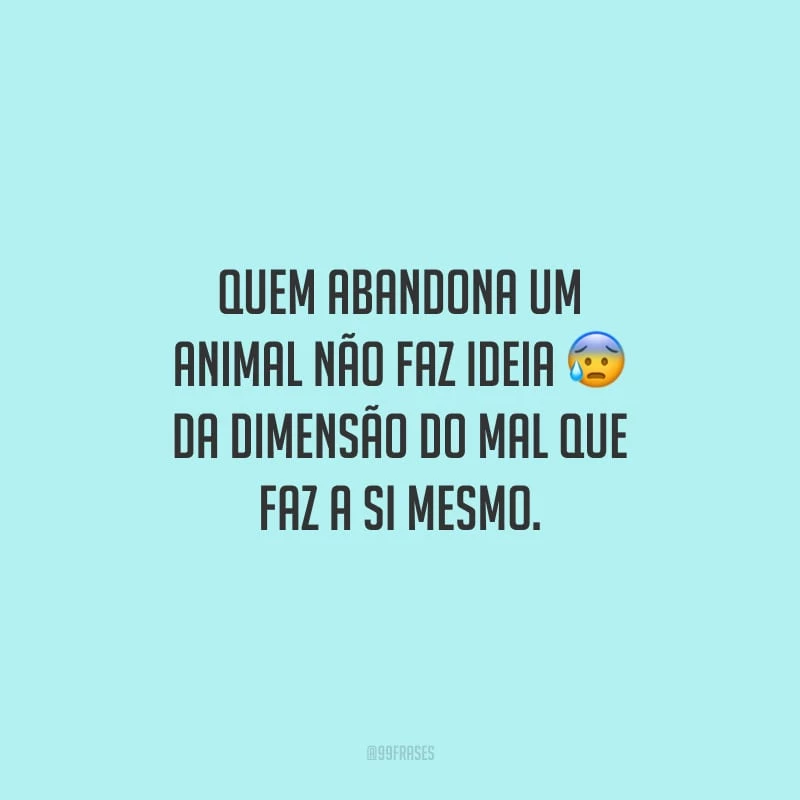 Quem abandona um animal não faz ideia da dimensão do mal que faz a si mesmo.