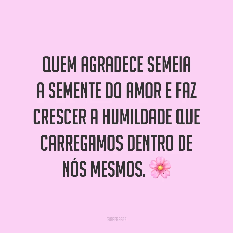 Quem agradece semeia a semente do amor e faz crescer a humildade que carregamos dentro de nós mesmos. 🌸