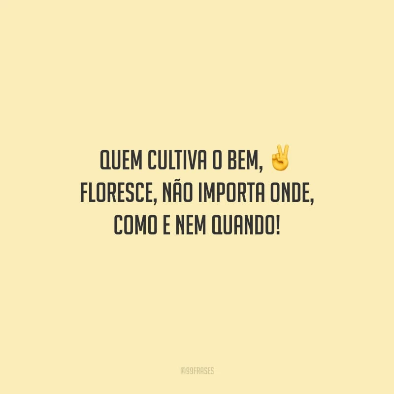 Quem cultiva o bem, floresce, não importa onde, como e nem quando!