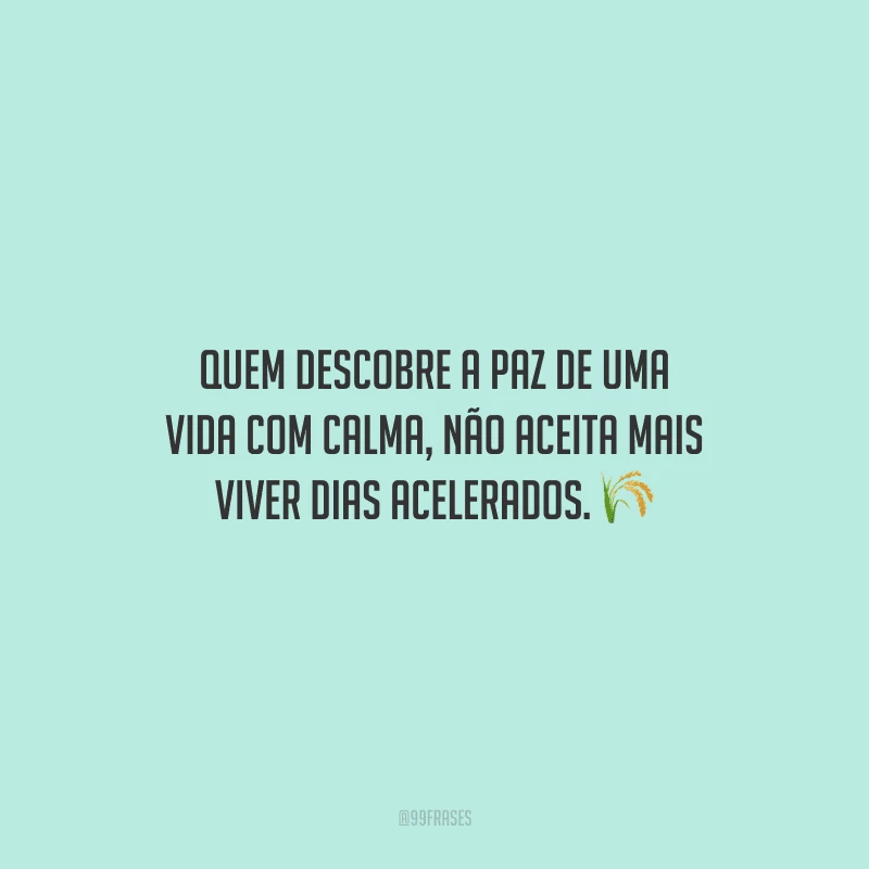 Quem descobre a paz de uma vida com calma, não aceita mais viver dias acelerados.