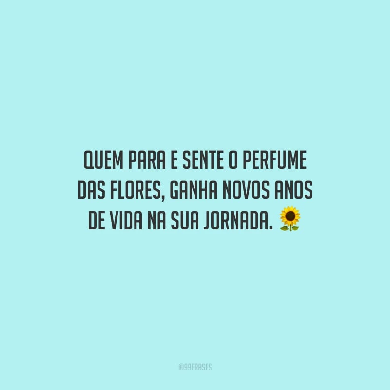 Quem para e sente o perfume das flores, ganha novos anos de vida na sua jornada.
