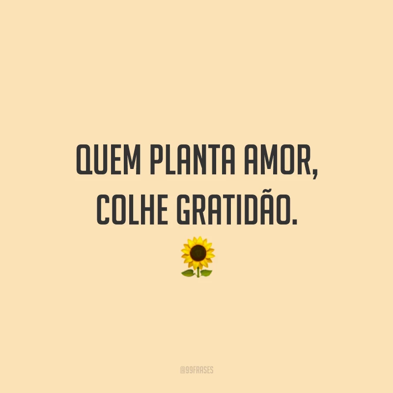 Quem planta amor, colhe gratidão. ?