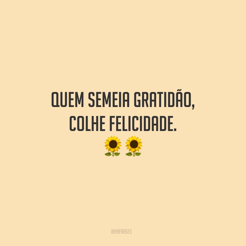 Quem semeia gratidão, colhe felicidade.