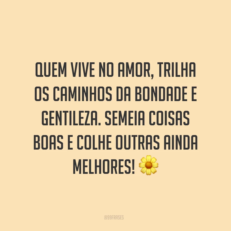 Quem vive no amor, trilha os caminhos da bondade e gentileza. Semeia coisas boas e colhe outras ainda melhores! ?