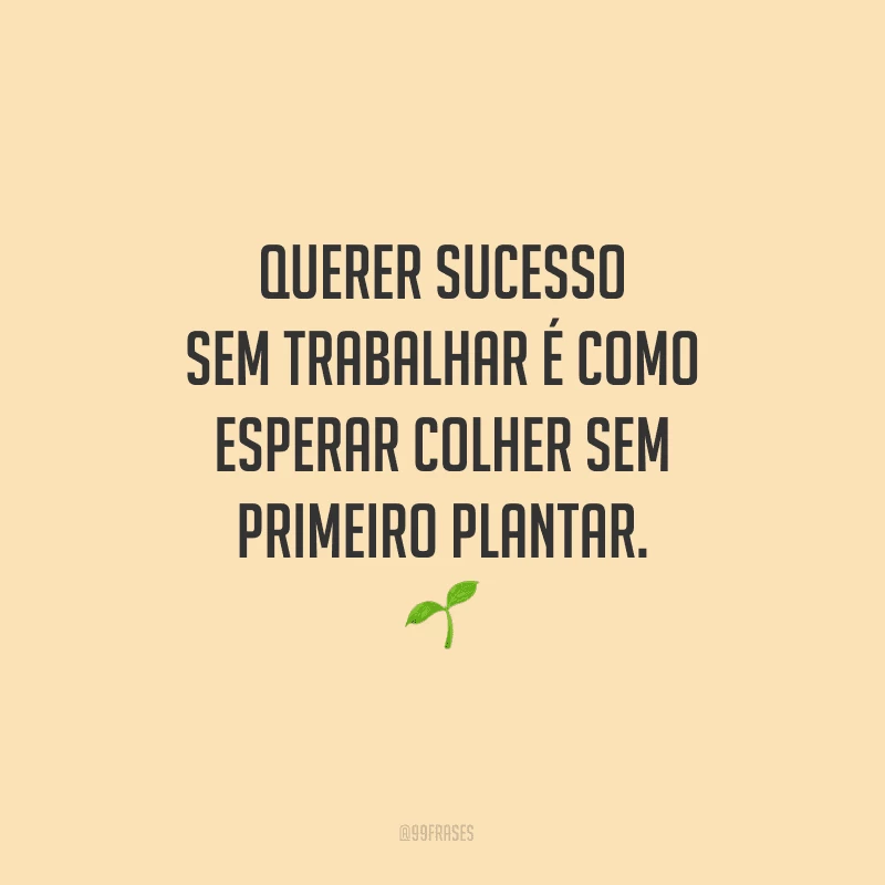 Querer sucesso sem trabalhar é como esperar colher sem primeiro plantar.
