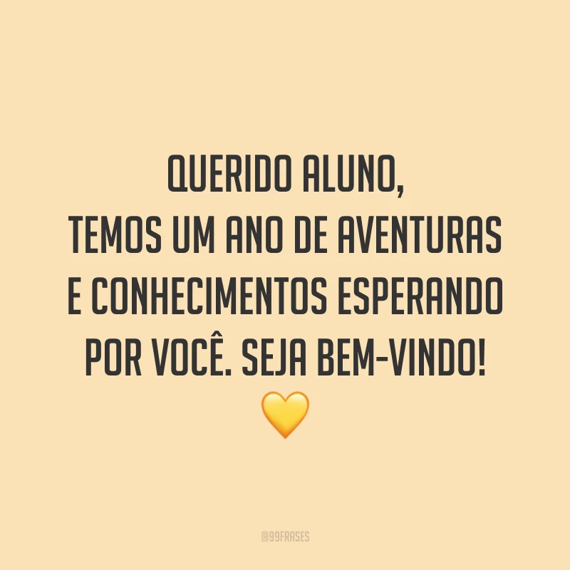 Querido aluno, temos um ano de aventuras e conhecimentos esperando por você. Seja bem-vindo! 💛