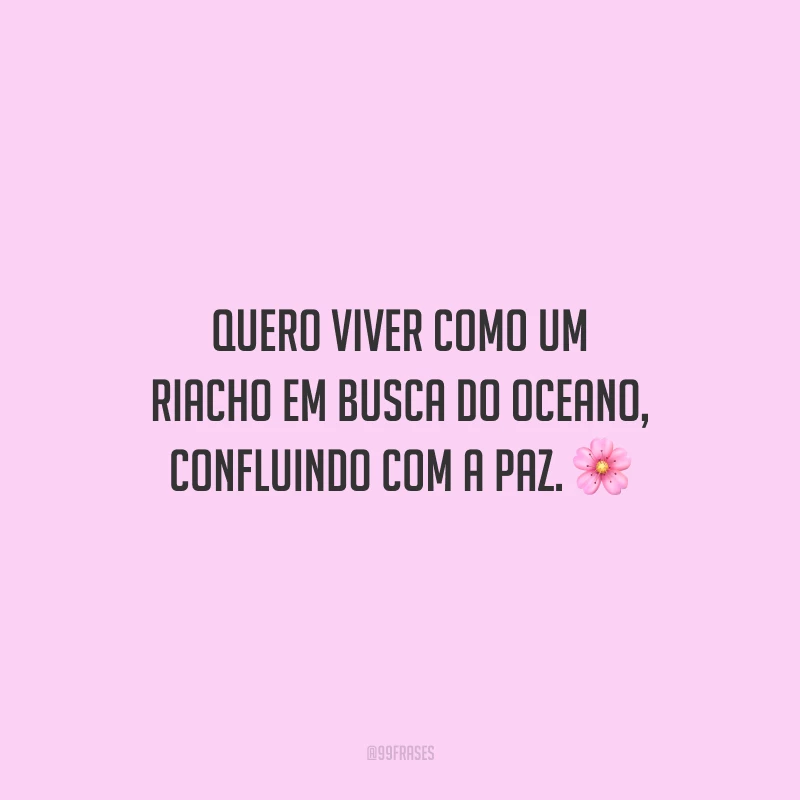 Quero viver como um riacho em busca do oceano, confluindo com a paz.