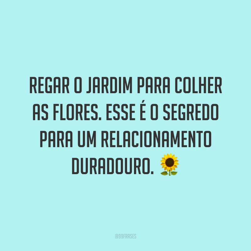 Regar o jardim para colher as flores. Esse é o segredo para um relacionamento duradouro. 🌻