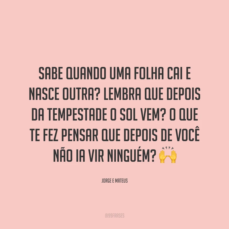 Sabe quando uma folha cai e nasce outra? Lembra que depois da tempestade o sol vem? O que te fez pensar que depois de você não ia vir ninguém? 🙌
