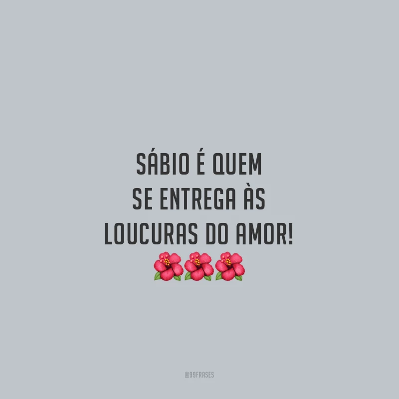 Sábio é quem se entrega às loucuras do amor!