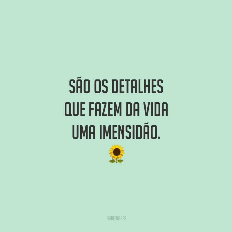São os detalhes que fazem da vida uma imensidão. 🌻