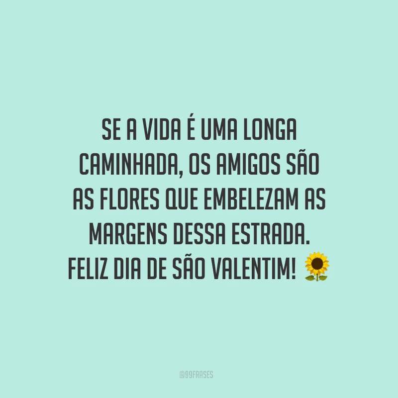 Se a vida é uma longa caminhada, os amigos são as flores que embelezam as margens dessa estrada. Feliz Dia de São Valentim! ?
