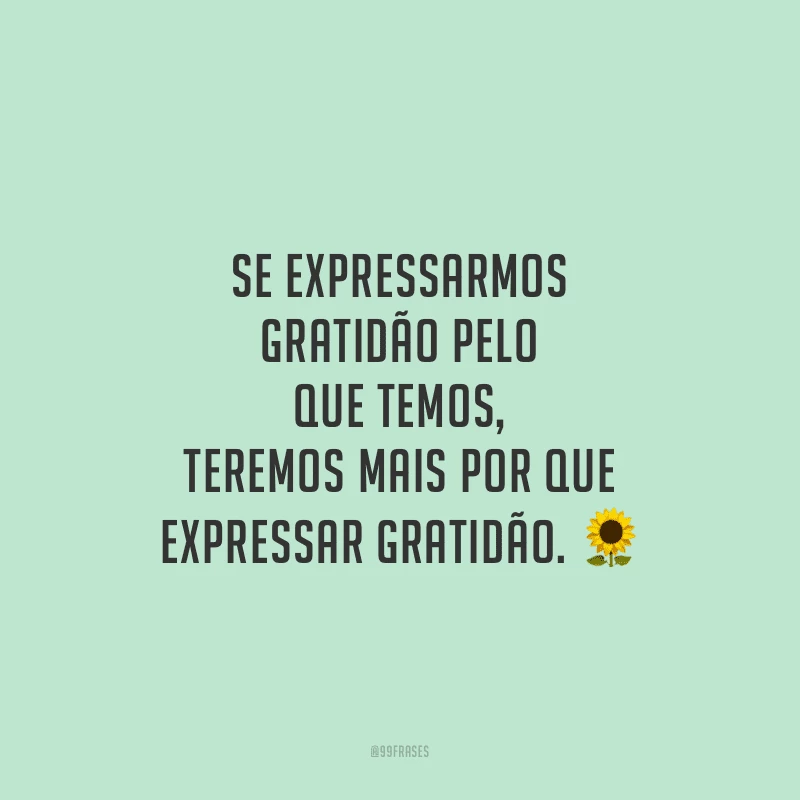 Se expressarmos gratidão pelo que temos, teremos mais por que expressar gratidão.