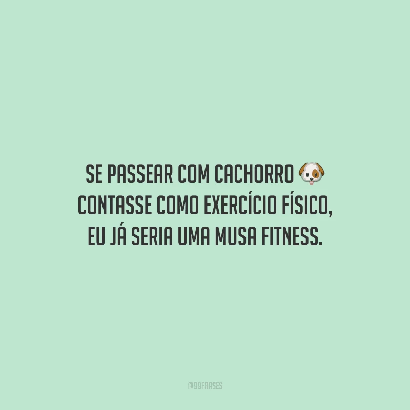 Se passear com cachorro contasse como exercício físico, eu já seria uma musa fitness.