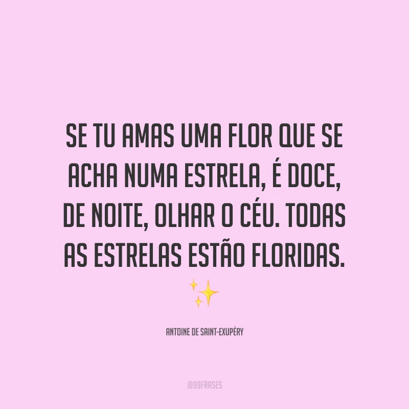 Se tu amas uma flor que se acha numa estrela, é doce, de noite, olhar o céu. Todas as estrelas estão floridas. ✨