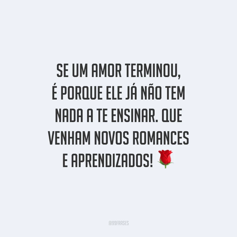Se um amor terminou, é porque ele já não tem nada a te ensinar. Que venham novos romances e aprendizados!