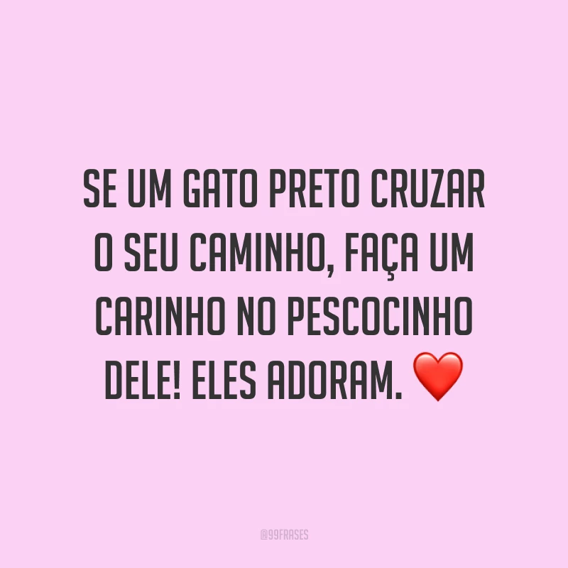 Se um gato preto cruzar o seu caminho, faça um carinho no pescocinho dele! Eles adoram. ❤️