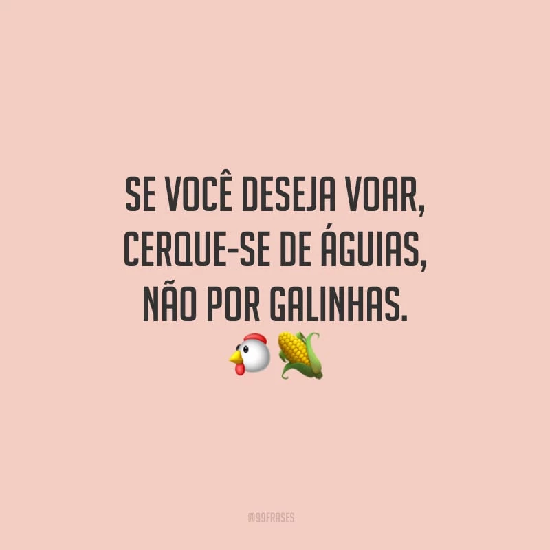 Se você deseja voar, cerque-se de águias, não por galinhas.
