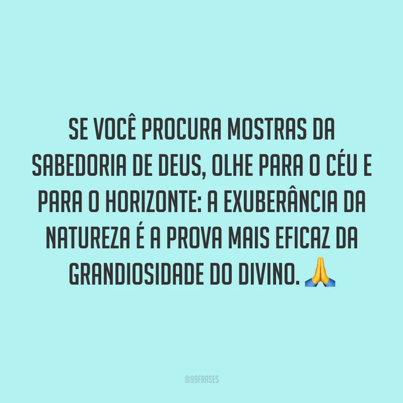 Se você procura mostras da sabedoria de Deus, olhe para o céu e para o horizonte: a exuberância da natureza é a prova mais eficaz da grandiosidade do divino. 🙏