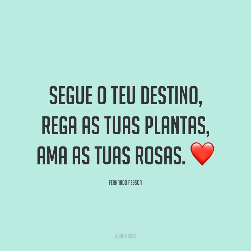 Segue o teu destino, rega as tuas plantas, ama as tuas rosas. ❤️