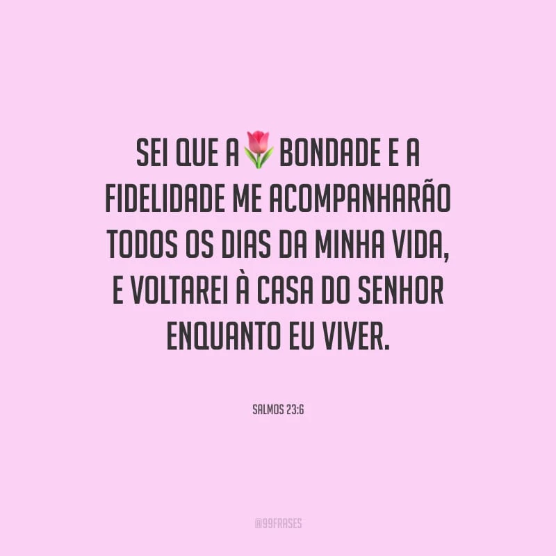 Sei que a bondade e a fidelidade me acompanharão todos os dias da minha vida, e voltarei à casa do Senhor enquanto eu viver.