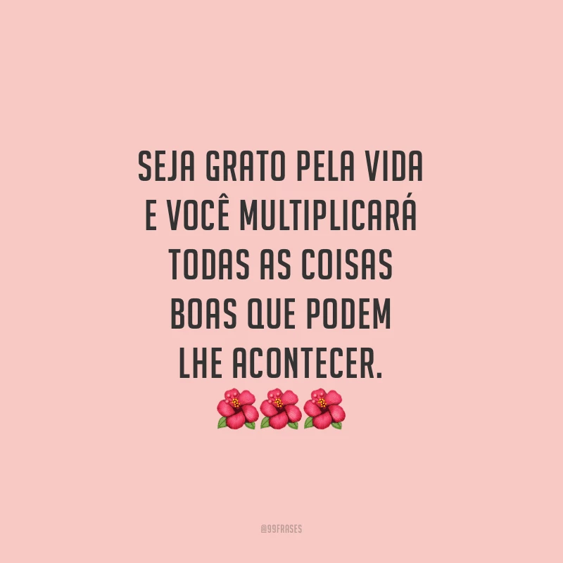 Seja grato pela vida e você multiplicará todas as coisas boas que podem lhe acontecer.