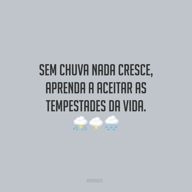 Sem chuva nada cresce, aprenda a aceitar as tempestades da vida.