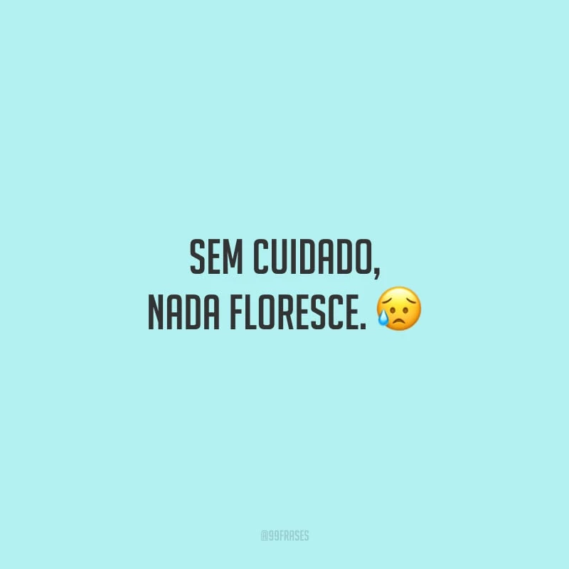 Sem cuidado, nada floresce.
