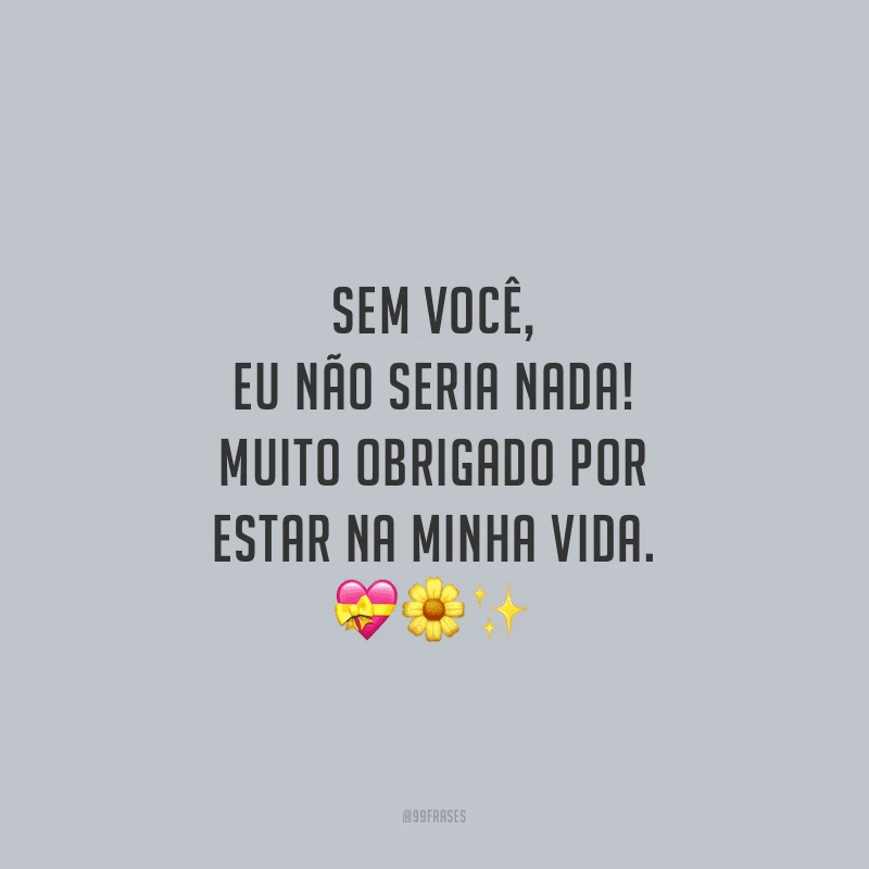Sem você, eu não seria nada! Muito obrigado por estar na minha vida.