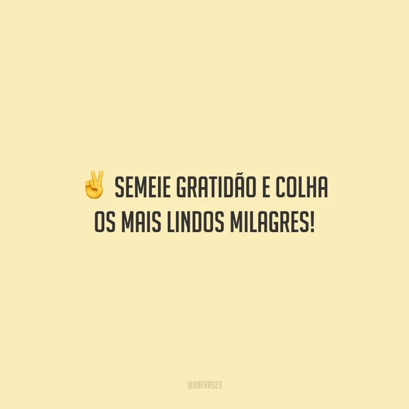 Semeie gratidão e colha os mais lindos milagres!