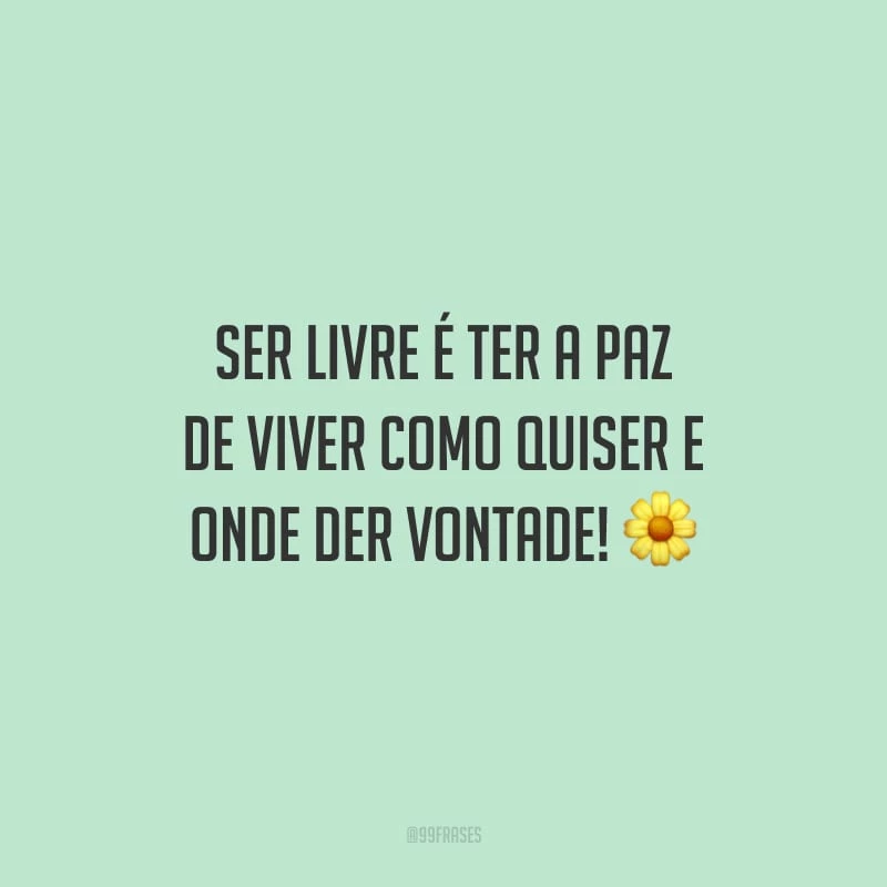 Ser livre é ter a paz de viver como quiser e onde der vontade!