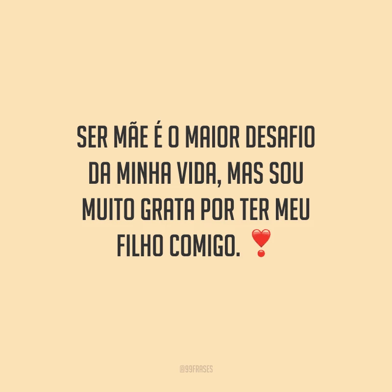 Ser mãe é o maior desafio da minha vida, mas sou muito grata por ter meu filho comigo. 