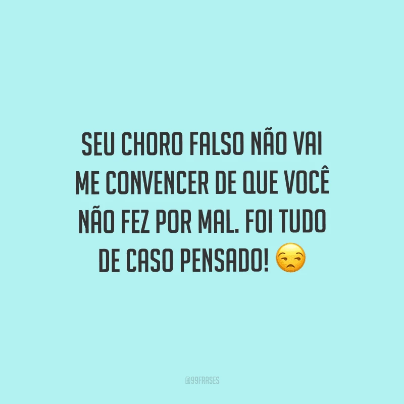 Seu choro falso não vai me convencer de que você não fez por mal. Foi tudo de caso pensado! 