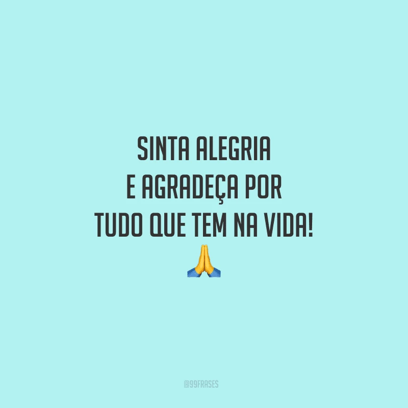 Sinta alegria e agradeça por tudo que tem na vida!