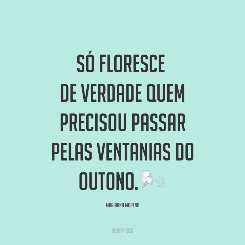 Só floresce de verdade quem precisou passar pelas ventanias do outono. ?