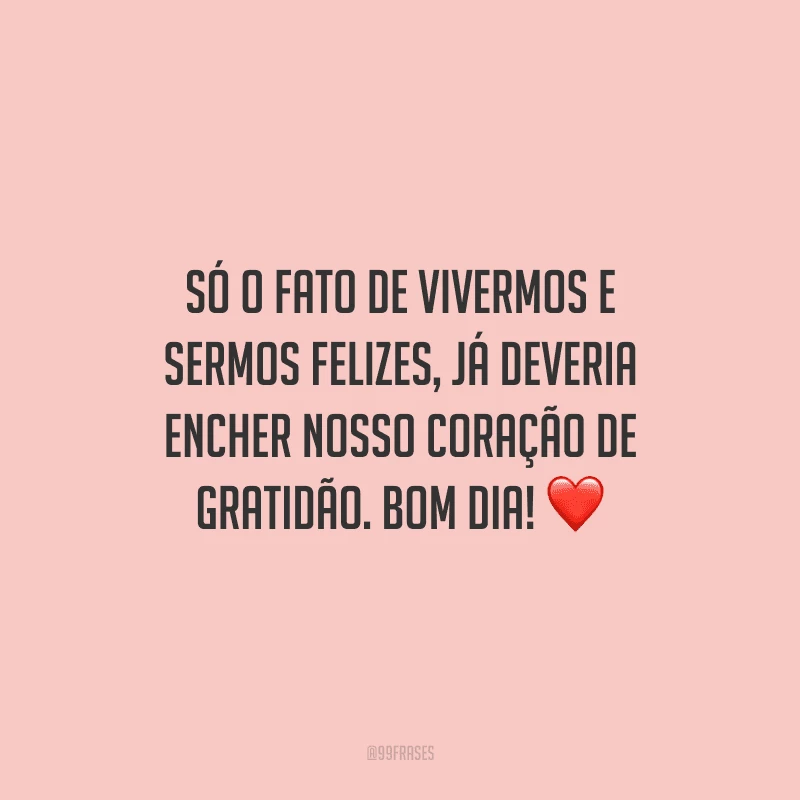 Só o fato de vivermos e sermos felizes, já deveria encher nosso coração de gratidão. Bom dia!