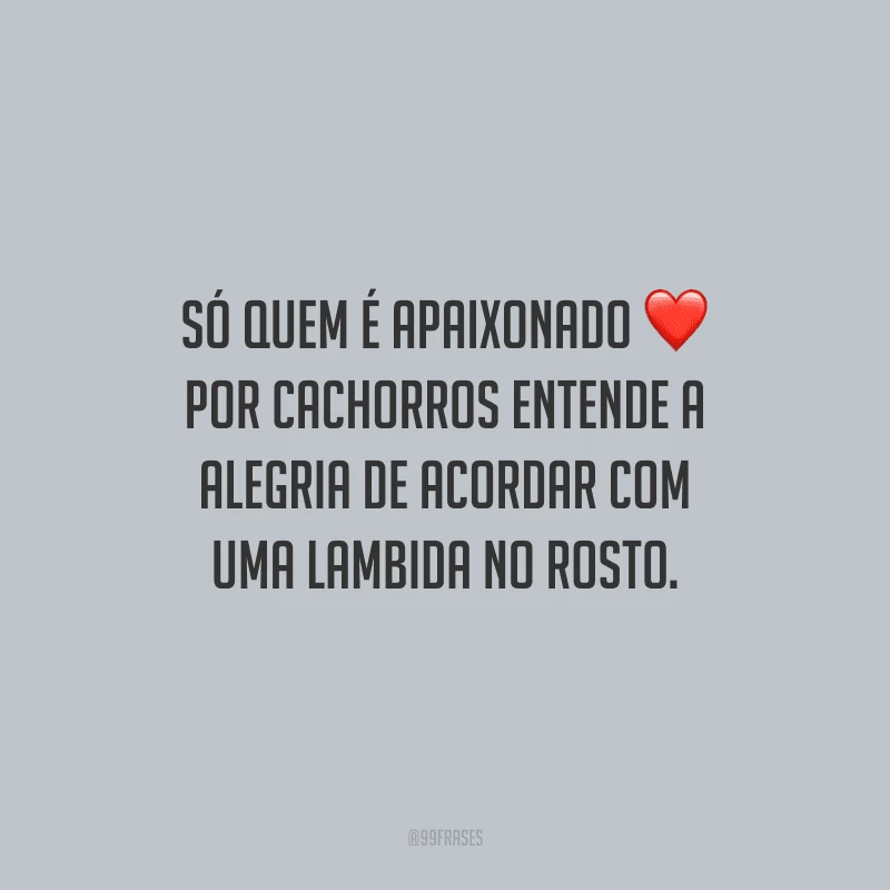 Só quem é apaixonado por cachorros entende a alegria de acordar com uma lambida no rosto.