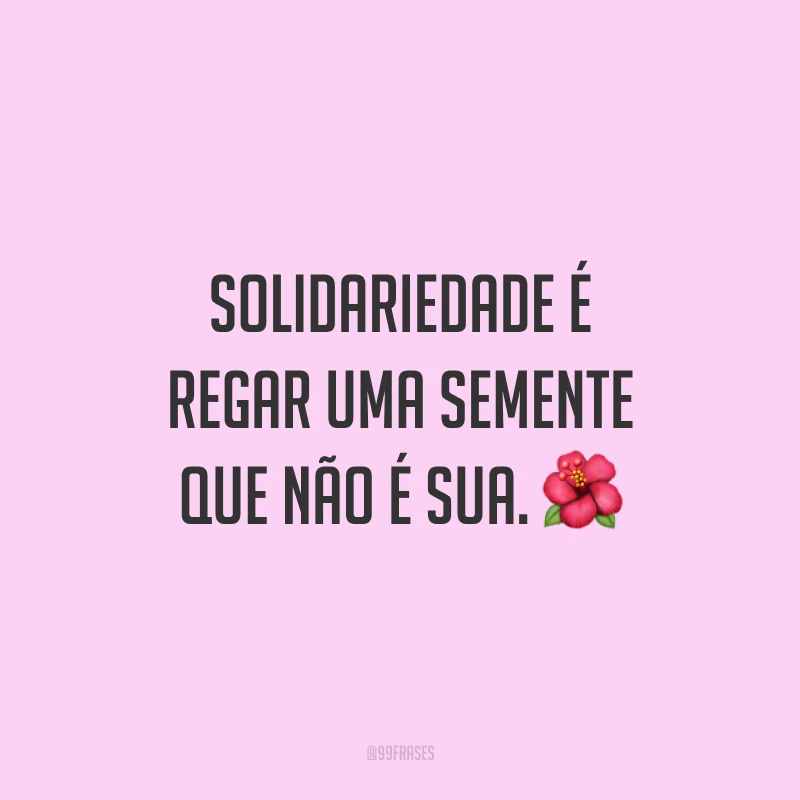 Solidariedade é regar uma semente que não é sua. 🌺