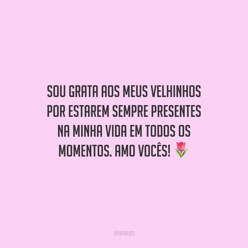 Sou grata aos meus velhinhos por estarem sempre presentes na minha vida em todos os momentos. Amo vocês!