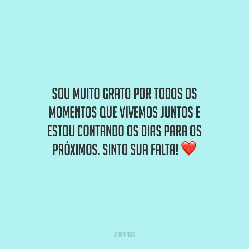 Sou muito grato por todos os momentos que vivemos juntos e estou contando os dias para os próximos. Sinto sua falta! 