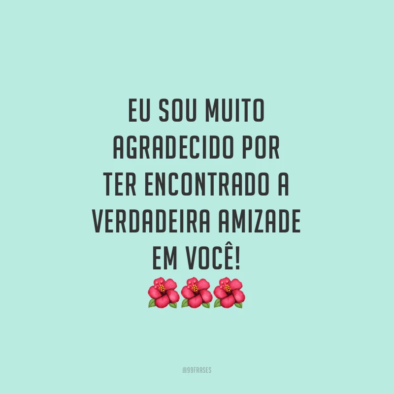 Eu sou muito agradecido por ter encontrado a verdadeira amizade em você!