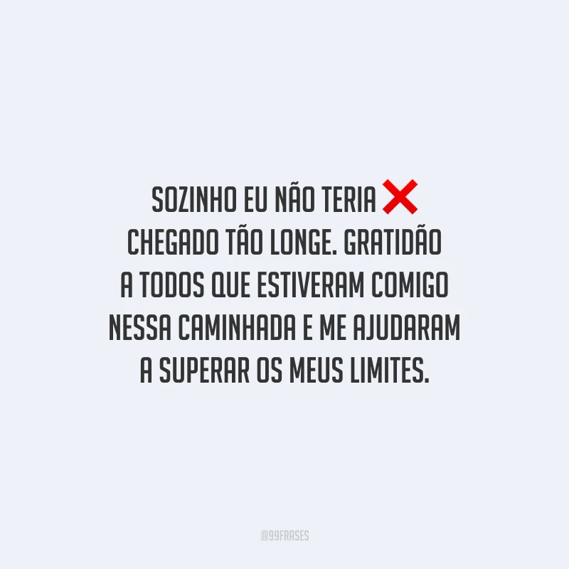 Sozinho eu não teria chegado tão longe. Gratidão a todos que estiveram comigo nessa caminhada e me ajudaram a superar os meus limites.