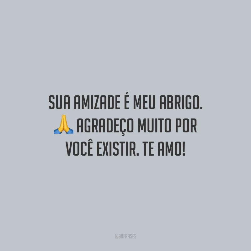 Sua amizade é meu abrigo. Agradeço muito por você existir. Te amo!
