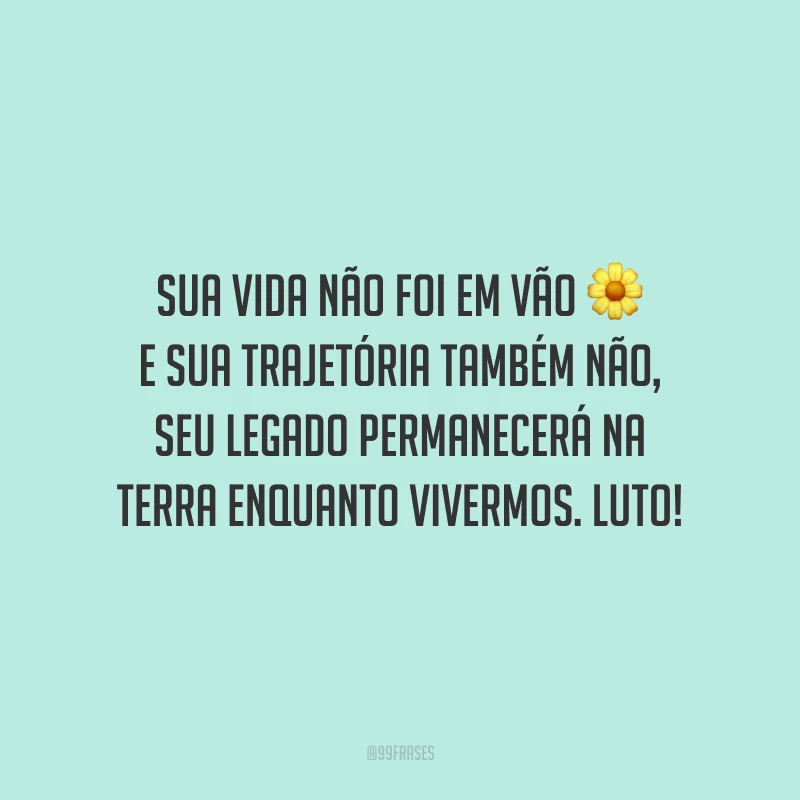 Sua vida não foi em vão e sua trajetória também não, seu legado permanecerá na Terra enquanto vivermos. Luto!