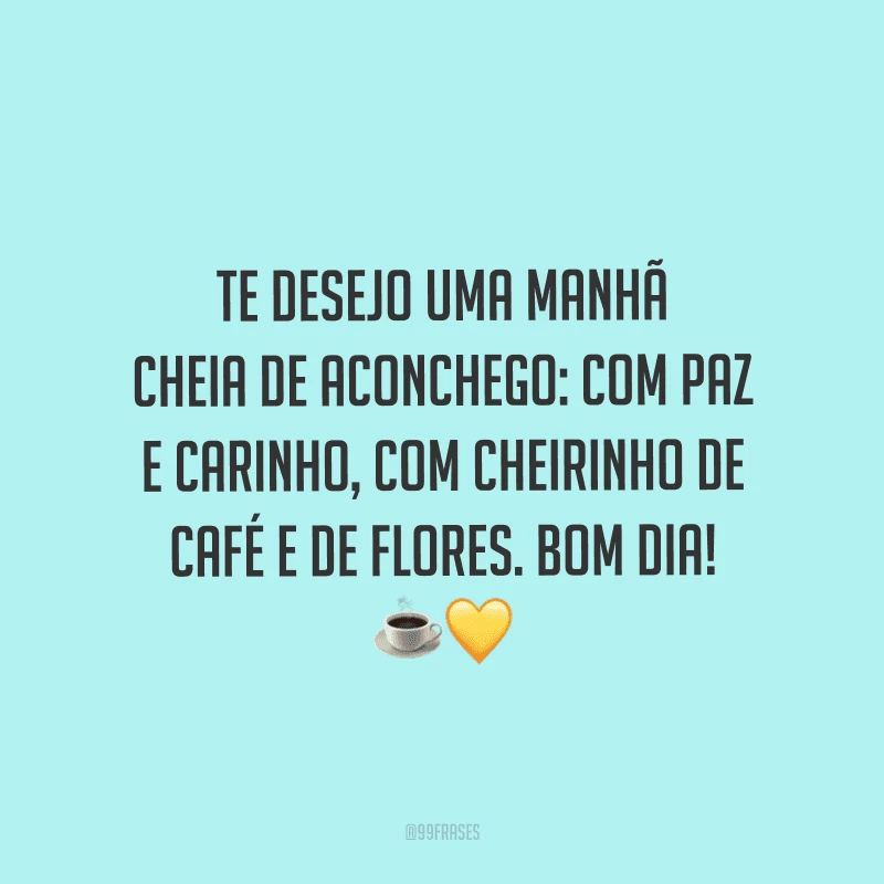 Te desejo uma manhã cheia de aconchego: com paz e carinho, com cheirinho de café e de flores. Bom dia! 